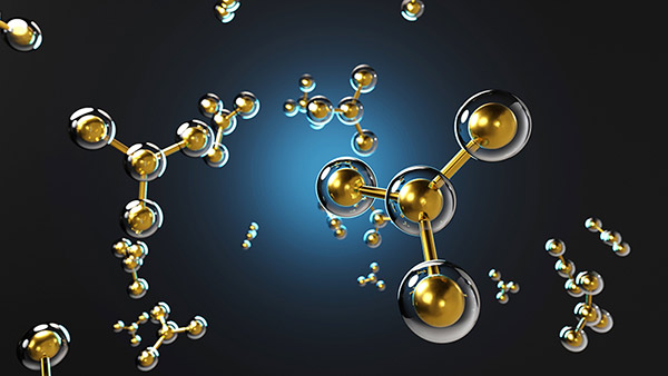 Biophysics